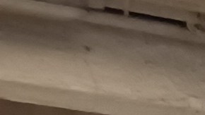 Hasta el mediodía de este lunes el servicio de trenes se mantenía estable.