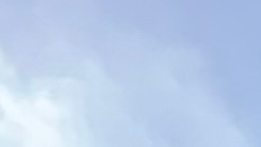 El 27 de diciembre entra en vigor mandato de vacunas para empleados privados