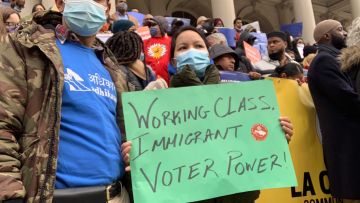 Un grupo de activistas se moverá judicialmente para retomar el derecho al sufragio en ciertos no ciudadanos.