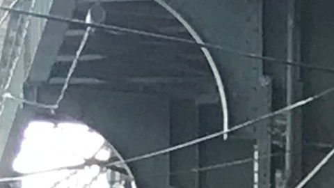 Latinos con esperanzas puestas en nuevo alcalde de Nueva York