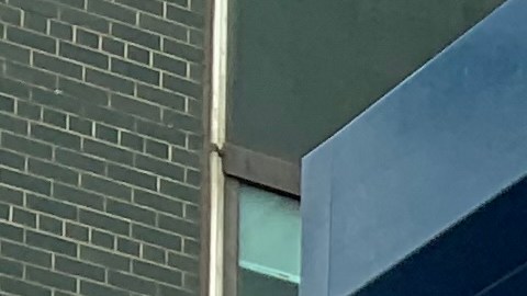 Exigen seguro de desempleo para trabajadores indocumentados de NY