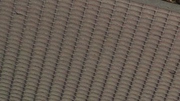 Demi Lee 7-Eleven comida empleado TokTok