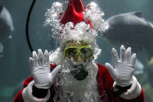 Santa Claus acuático ofrece regalos entre pirañas en un zoológico de México