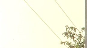 Aún no se ha determinado la edad, el sexo o las identidades de los migrantes fallecidos y heridos en esta tragedia.