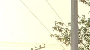 Aún no se ha determinado la edad, el sexo o las identidades de los migrantes fallecidos y heridos en esta tragedia.