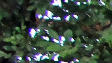 Dos policías y un civil mueren en ataque terrorista en aeropuerto colombiano