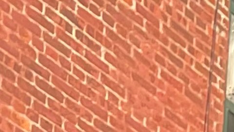 Adams junto a su nuevo canciller de Educación David Banks, al hacer el anuncio de su nombramiento en Brooklyn.