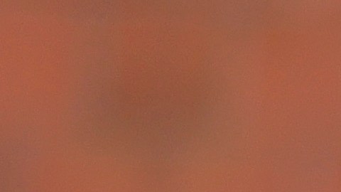 Adrienne Adams será próxima presidenta del Concejo Municipal de NYC.