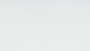 Alimentos que detonan la obesidad