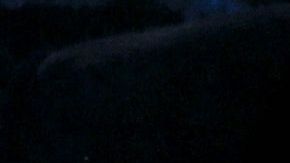 Ariadne Díaz está destrozada porque un cocodrilo devoró a su perrita.