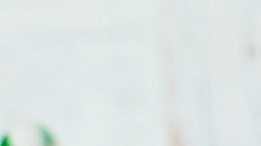 Bastones de caramelo