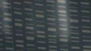 Jamie Spears junto a su hija Britney Spears.