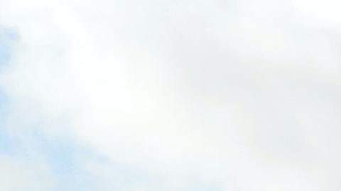 Un 72% de directores ejecutivos temen perder sus trabajos en 2022, según encuesta