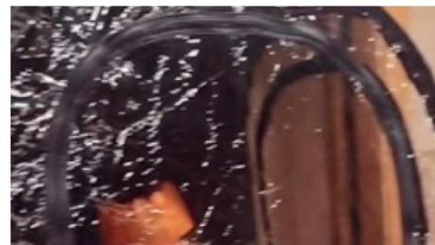 Crista LaRock joven covid-19 burbuja de plástico (1)