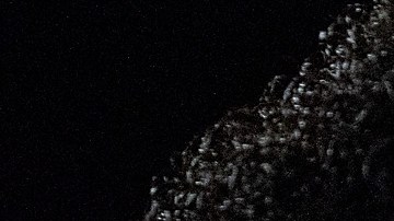 David Ortiz Alex Rodriguez