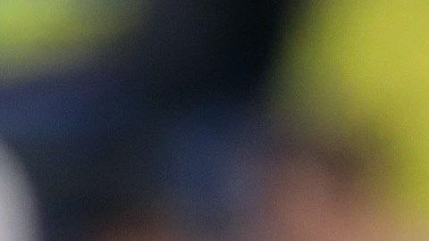Diego Godín
