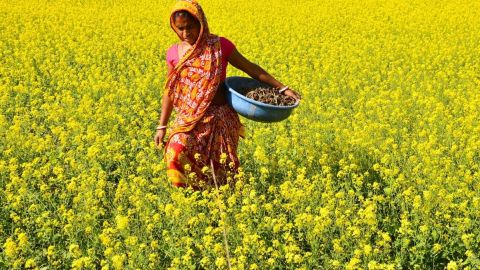 India