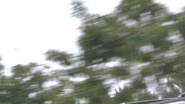 Minivan