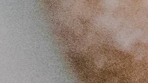 Donas-Carbohidratos refinados