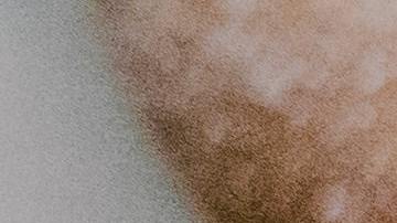 Donas-Carbohidratos refinados