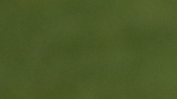 Situación de Hazard en el Madrid preocupa a Bélgica