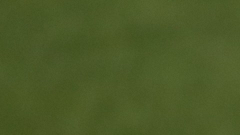 Situación de Hazard en el Madrid preocupa a Bélgica