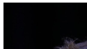 Elon Musk y Elizabeth Warren (1)