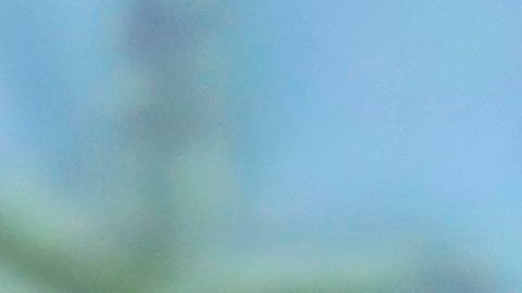Abidal declaró sobre la agresión que sufrió la jugadora del PSG