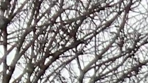 Departamento de policía del condado de Gwinnett