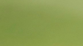 Costa Rica v Mexico - International Friendly