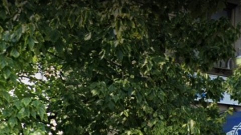 Gethsemane Baptist Church, 144 Newport St, Brooklyn, NYC.