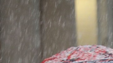 En noviembre de 2018 se registraron las primeras caídas de nieve en la ciudad de Nueva York.