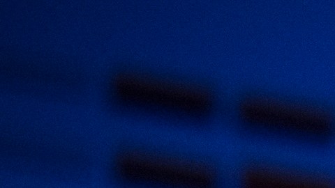 Joseph Stiglitz ganó el premio Nobel en Economía, en el 2001.