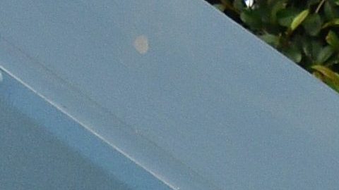 Drew y Linda Scott son esposos desde 2018