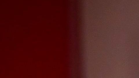 El viajero en el que se ha detectado la variante ómicron presenta el esquema completo de vacunación.