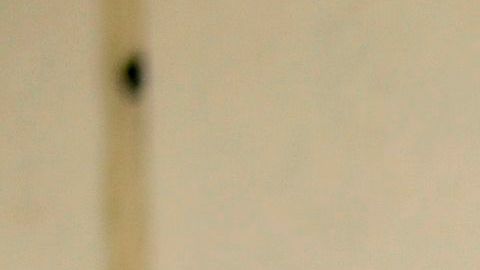 La gobernadora  también anunció varias medidas para reformar el programa de indulto.