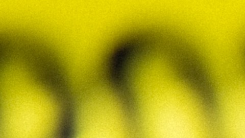 Policía dio a conocer los nombres de los siete familiares hallados muertos en Moorhead, Minnesota