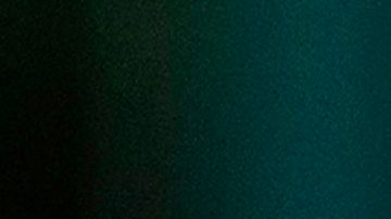 Es una tradición que la Primera Dama de Estados Unidos dirija la decoración navideña de la Casa Blanca