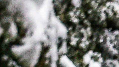 Nieve en Nevada