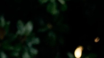 El 2 de octubre del 2020, Trump tuvo que acudir al hospital tras contagio de COVID-19.