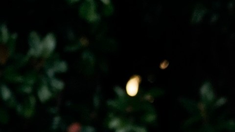 El 2 de octubre del 2020, Trump tuvo que acudir al hospital tras contagio de COVID-19.