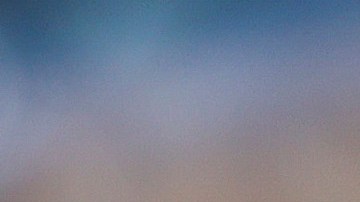 Jared Polis Colorado