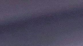 El hombre fue declarado culpable de posesión de armas de fuego y municiones.