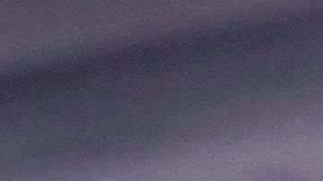 El hombre fue declarado culpable de posesión de armas de fuego y municiones.