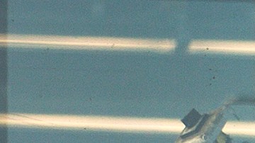 Supermercado H-E-B en Texas