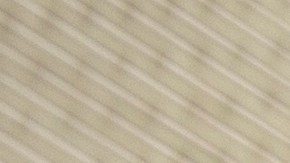 Jared Polis, gobernador de Colorado