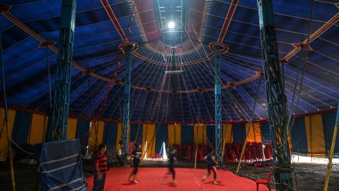 Trapecistas