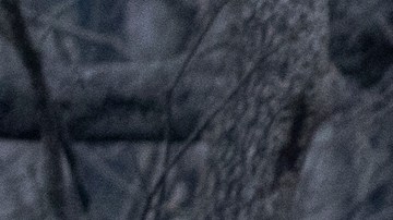 Sierra Nevada de California