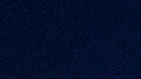 Cientos de alumnos en la vigilia en Columbia University, 3 de diciembre 2021.