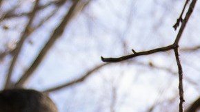 Defensores de inmigrantes presionan por un camino a la ciudadanía para indocumentados.